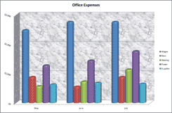 Learing Microsoft Excel 2010 column charts