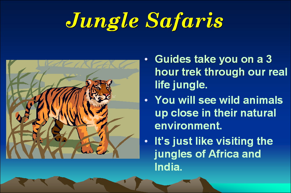Microsoft PowerPoint 2003 graphics in slides
