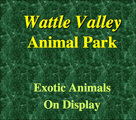 Microsoft PowerPoint 2003 formatting text and adding backgrounds